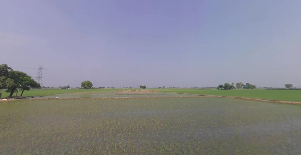 Dakha, Punjab 141102, India