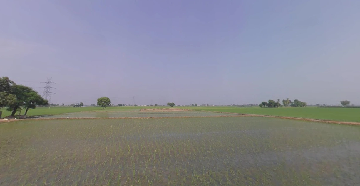Dakha, Punjab 141102, India