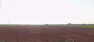 H797+QCC, Ishvariya, Gujarat 363530, India preview 2