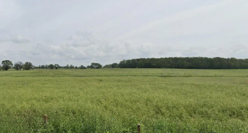 Guradiya, Madhya Pradesh 462036, India preview 3