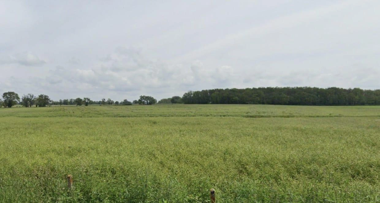 Guradiya, Madhya Pradesh 462036, India