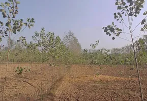 Kamalpur Aht., Uttar Pradesh 247662, India preview 2