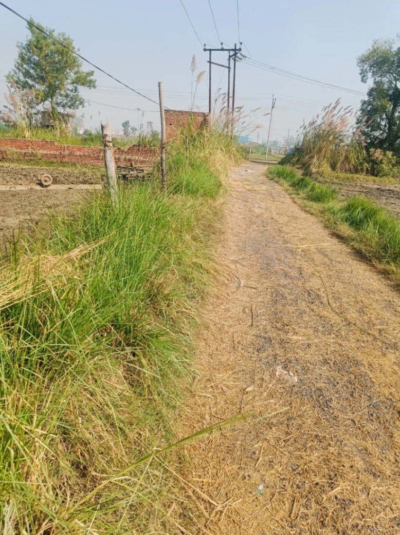 Basai, Mathura, Uttar Pradesh 281501, India