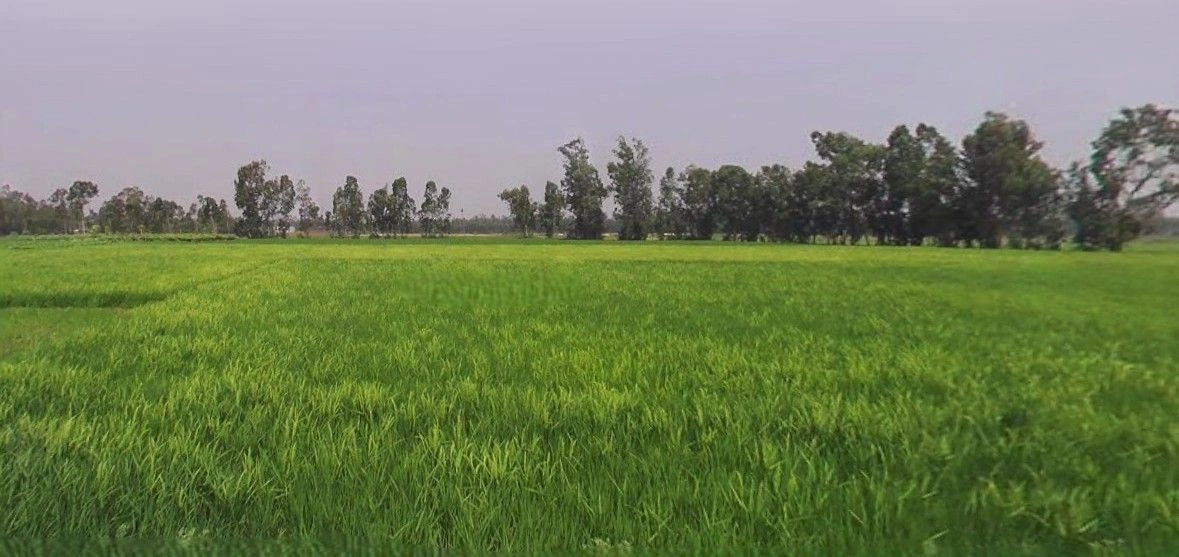 Lalpur, Uttar Pradesh 244924, India preview 2