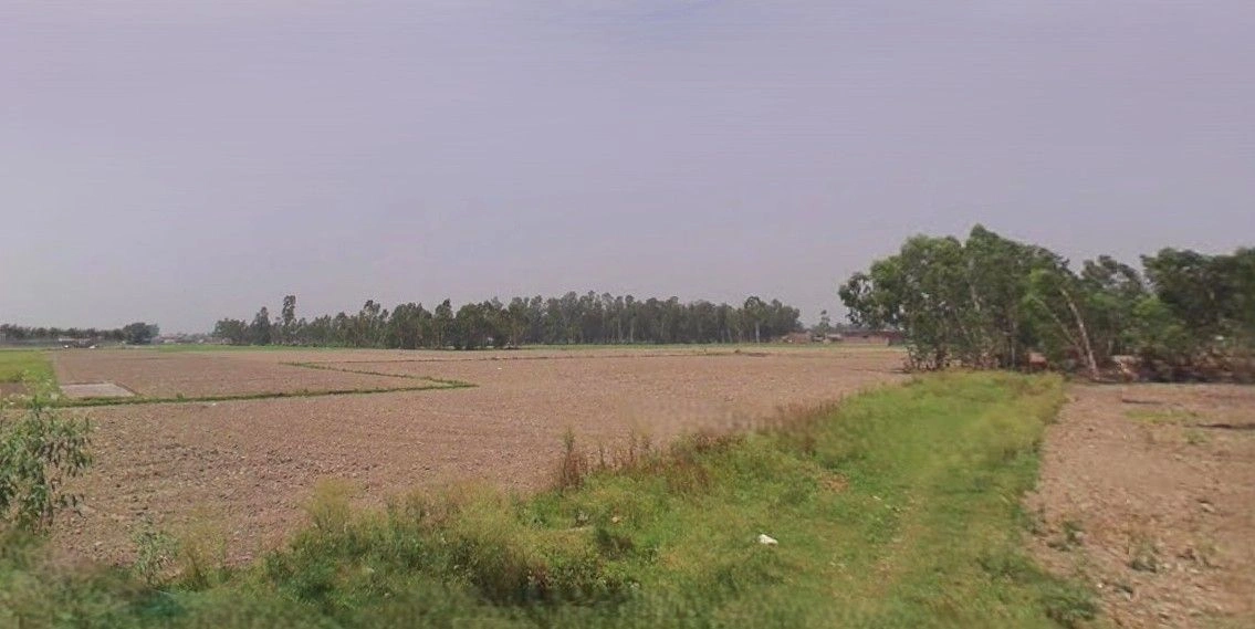 Mithanpur, Uttar Pradesh 246729, India preview 2