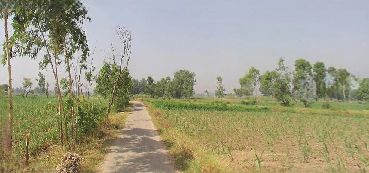 Thakurdwara, Uttar Pradesh 244601, India preview 2