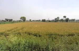Pahladpur, Haryana 121004, India preview 2