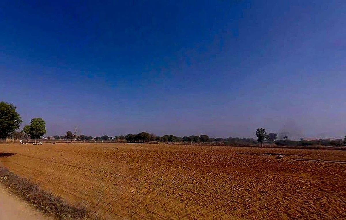 Vatika, Rajasthan 303905, India