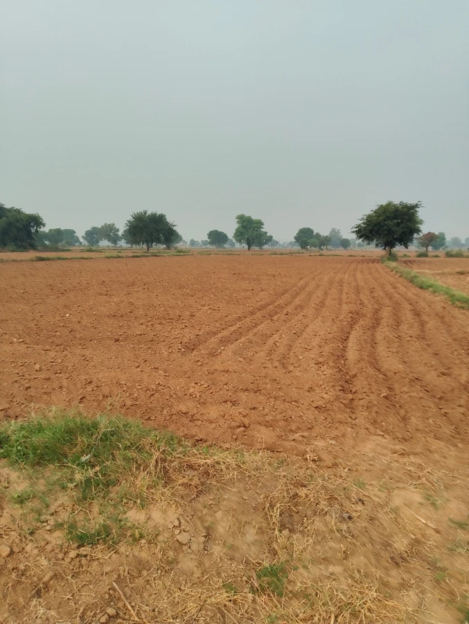 Chidwai, Rajasthan 301026, India