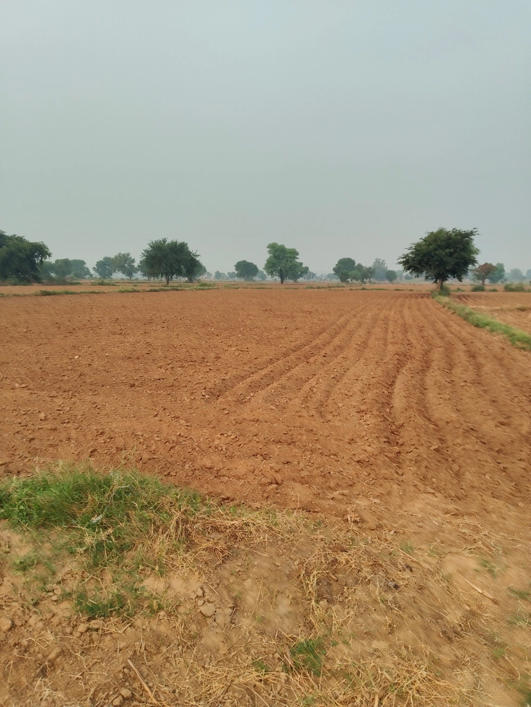 Chidwai, Rajasthan 301026, India