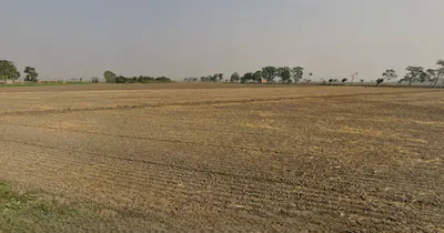 Mehna, Punjab 142011, India preview 2