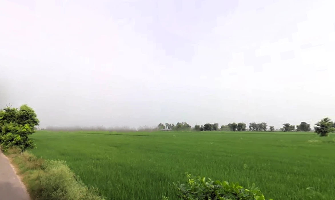 Tohana, Haryana 125120, India