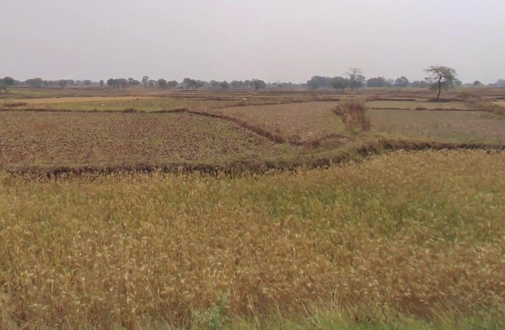 Pirda-2, Chhattisgarh 493111, India preview 2