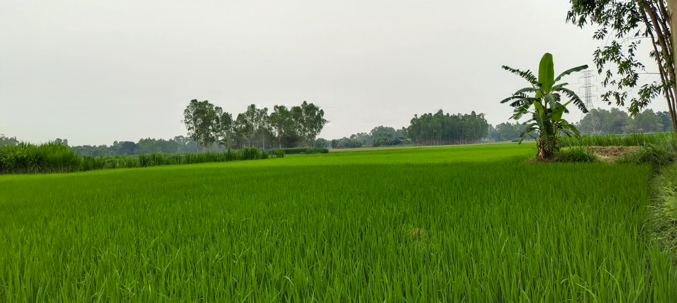 Chhata, Uttar Pradesh 281401, India