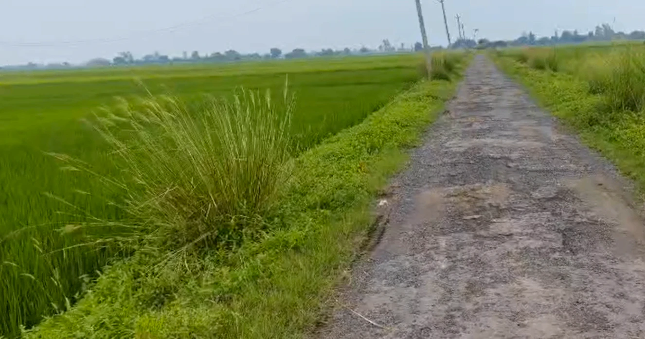 Dulheni, Morena, Madhya Pradesh 476221, India