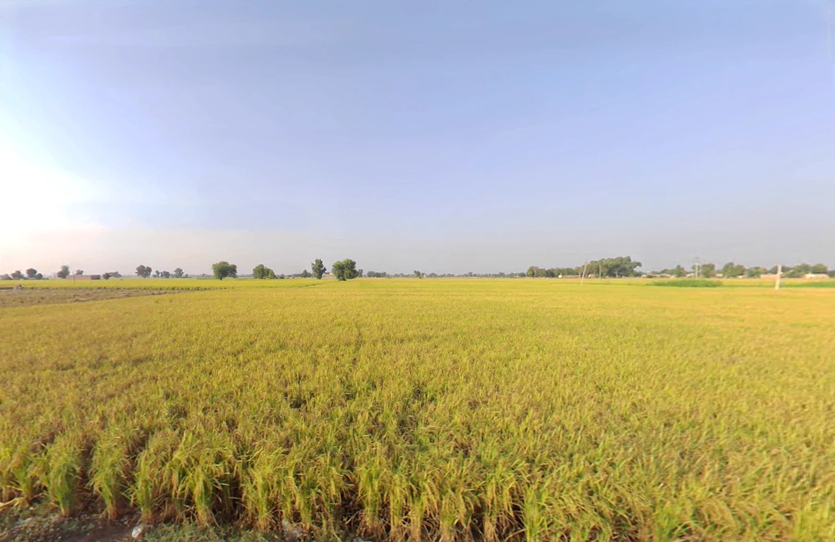 Kariwala, Haryana 125075, India