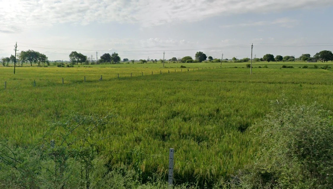 CJF2+4M5, Semra, Madhya Pradesh, India