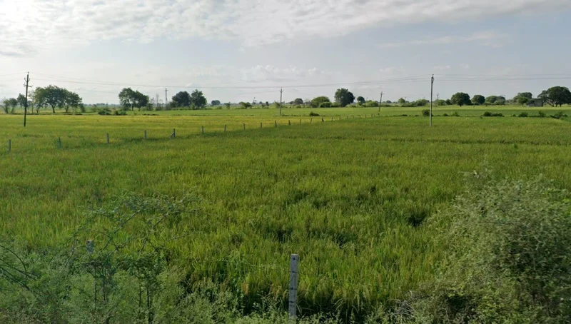 CJF2+4M5, Semra, Madhya Pradesh, India preview 2