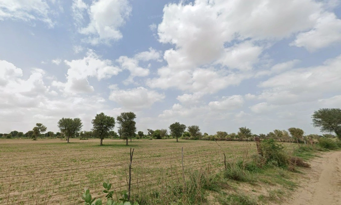 Sherpura, Rajasthan 334604, India