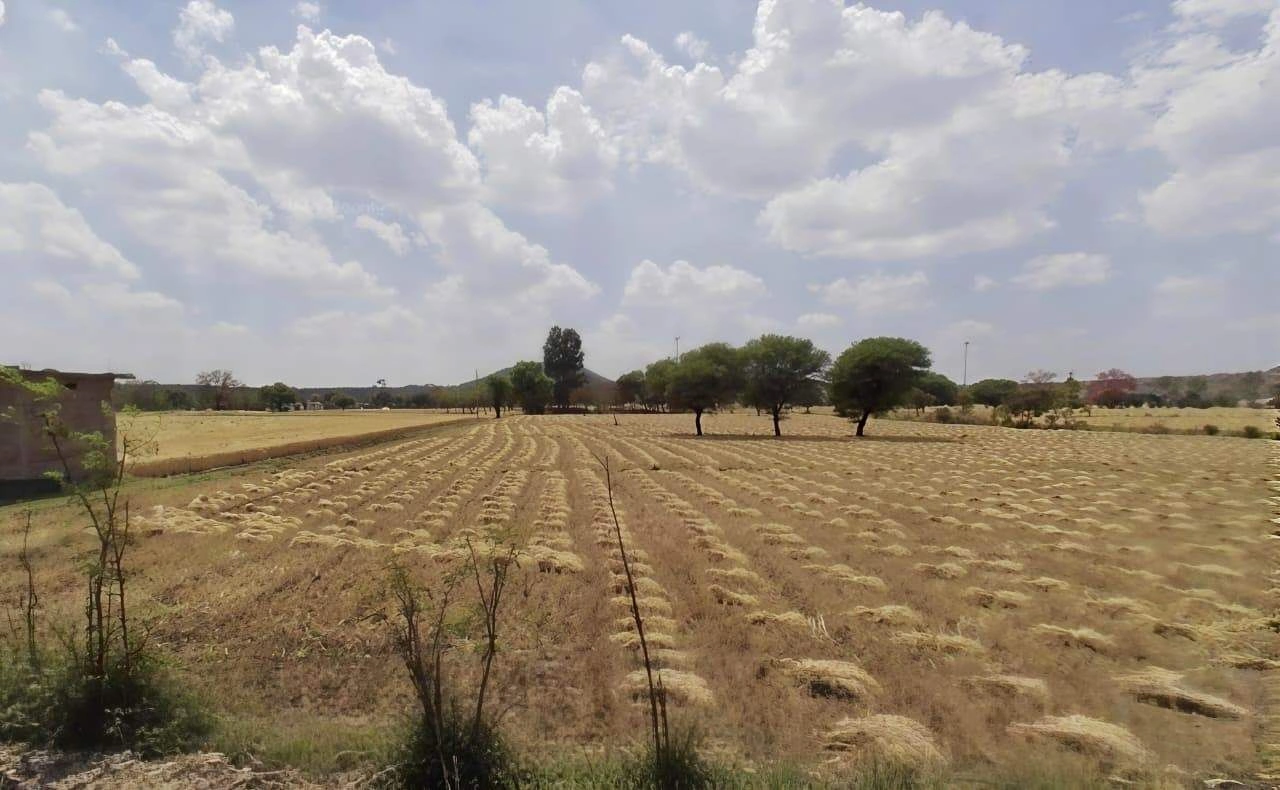 Bhadoni, Madhya Pradesh 465001, India