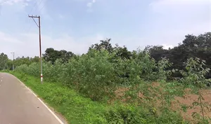 Behat, Uttar Pradesh 247121, India preview 2