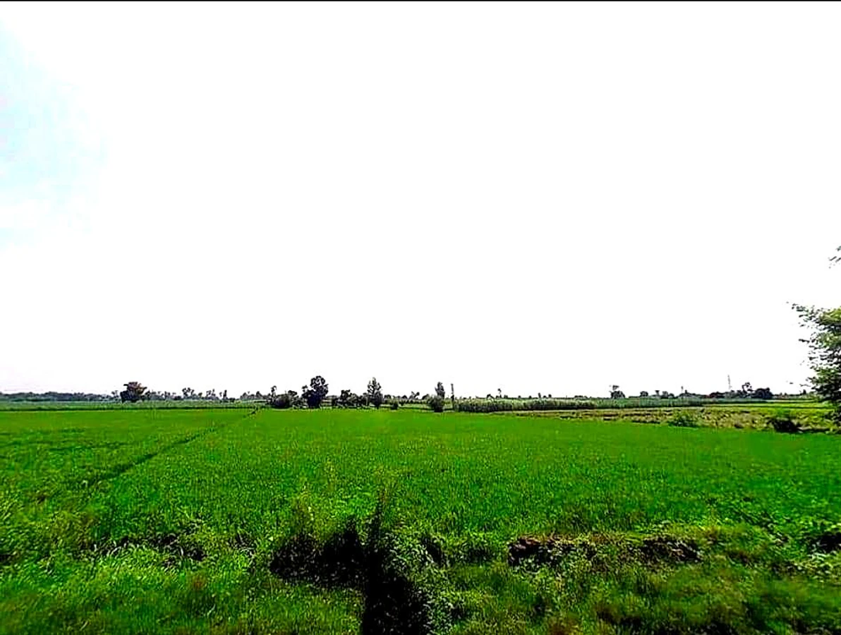 Toda, Uttar Pradesh, India