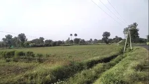 Rampura, Madhya Pradesh 465337, India preview 2