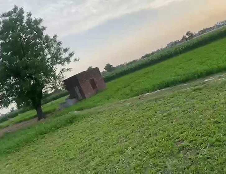 Jandiala Guru, Punjab 143115, India