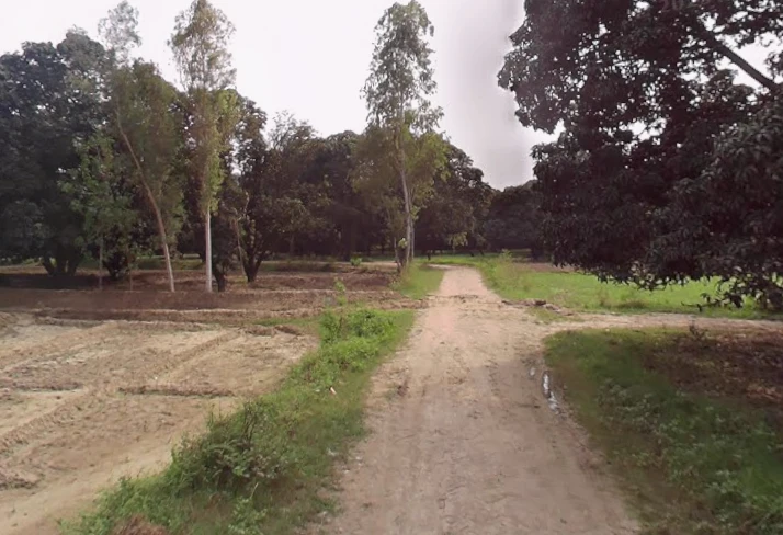 Jhadina, Uttar Pradesh 245205, India