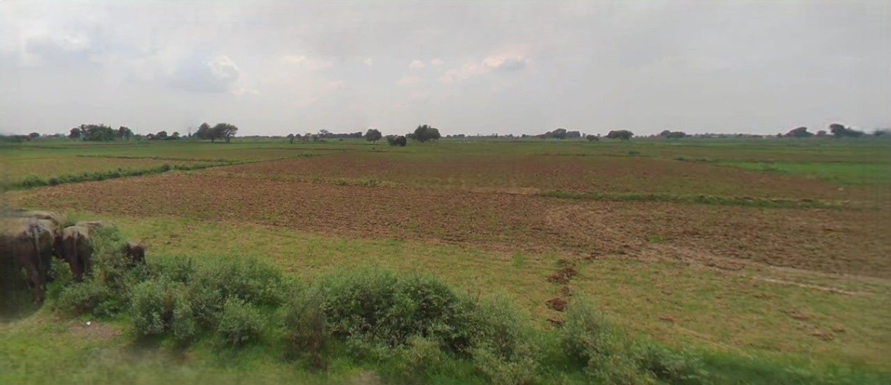 Sonipat, Haryana, India