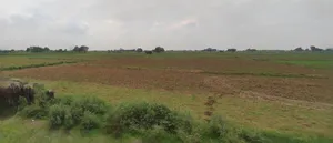 Sonipat, Haryana, India preview 3