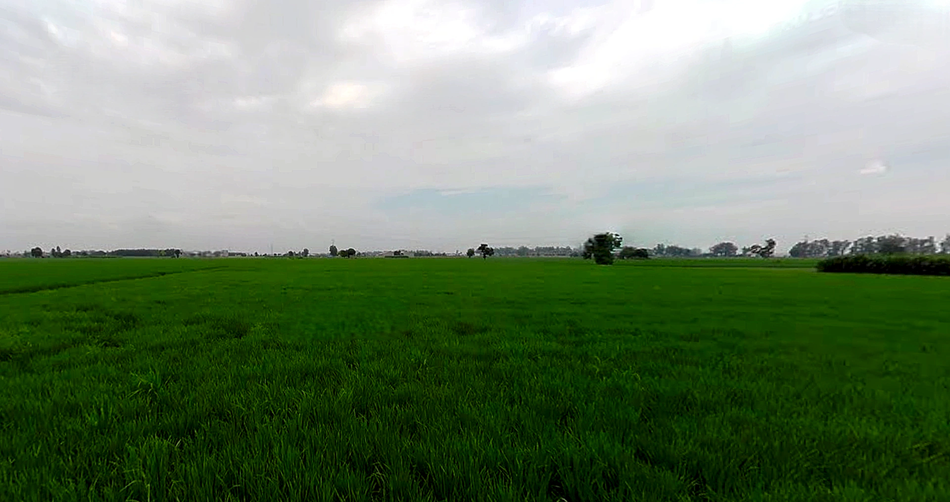 Morinda - Chunni Rd, Bhateri, Punjab, India