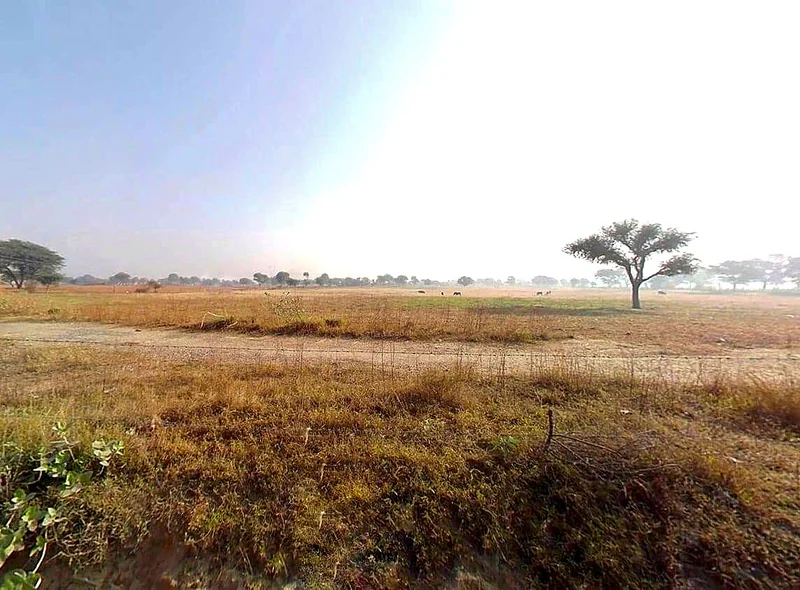 8JF5+Q3Q, Sargoth, Rajasthan 332404, India preview 3