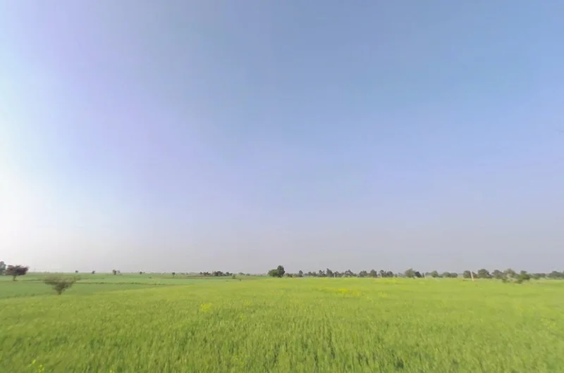 Ganjar, Chhattisgarh 493449, India preview 2