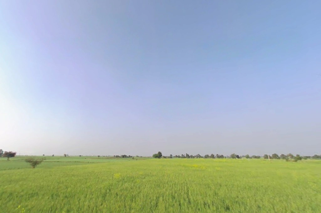 Ganjar, Chhattisgarh 493449, India