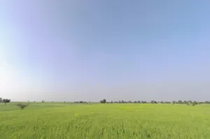 Ganjar, Chhattisgarh 493449, India preview 2