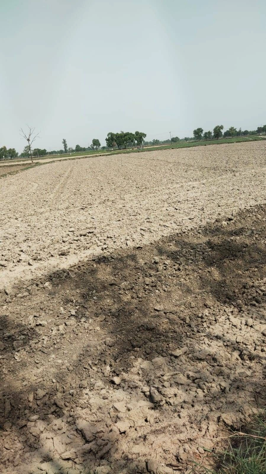 Bindki, Uttar Pradesh 212635, India preview 2