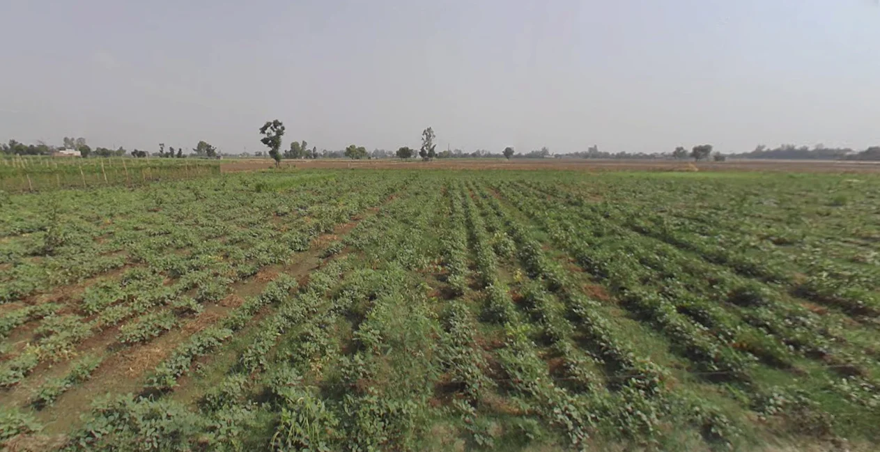 New Chandigarh, Punjab 140901, India preview 3