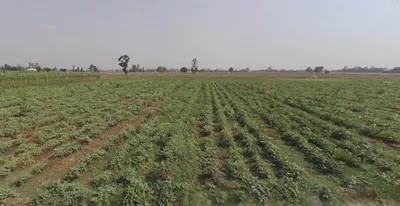 New Chandigarh, Punjab 140901, India preview 3