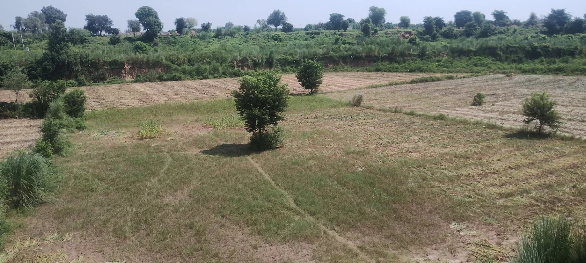 Jugrawar, Rajasthan, India