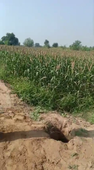 Bekobar, Kodarma, Jharkhand 825409, India