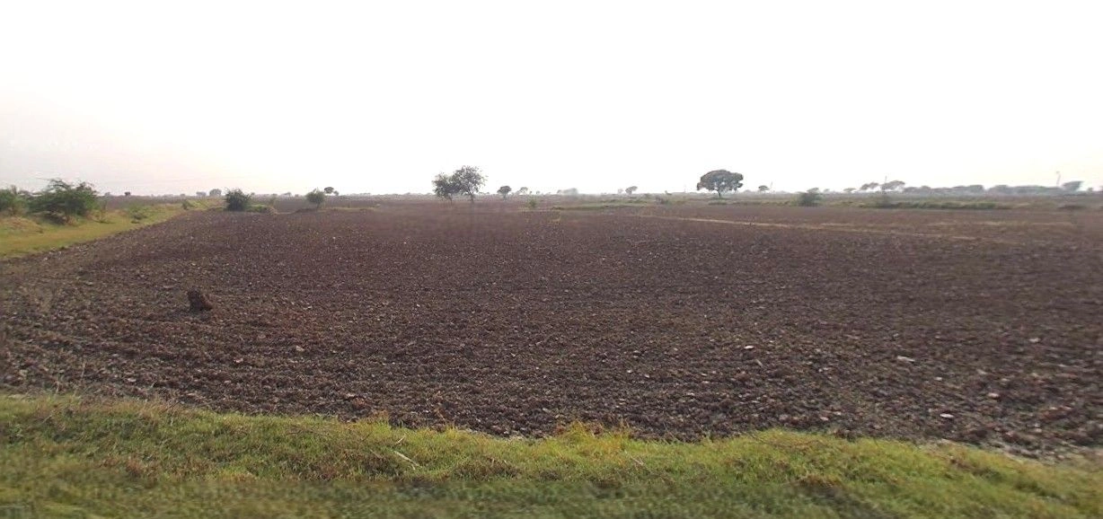 Chilkana, Uttar Pradesh 247231, India