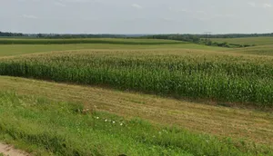 Maheshwar, Madhya Pradesh, India preview 2