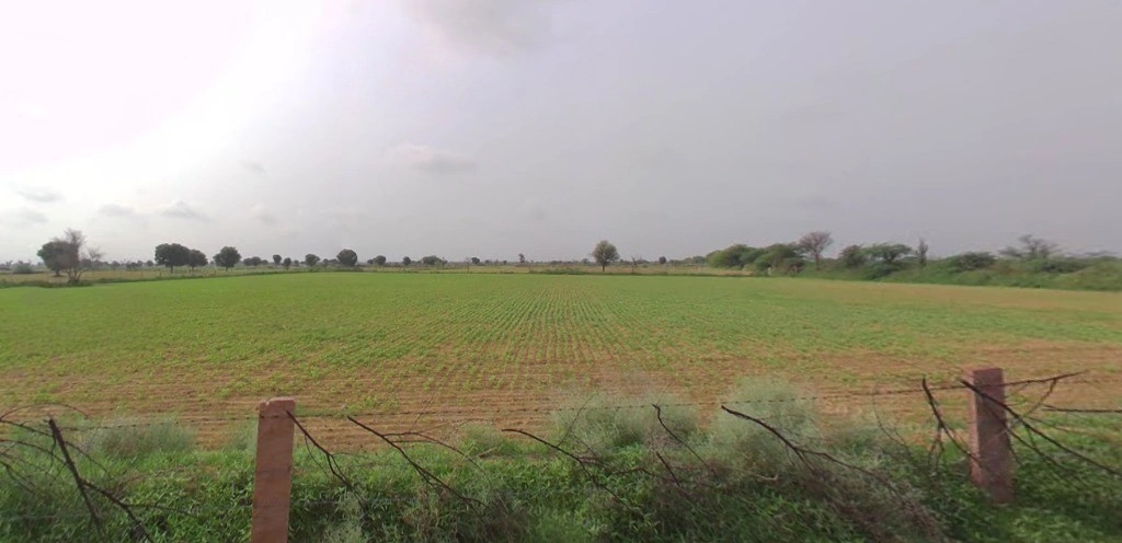 Sirsa, Haryana, India