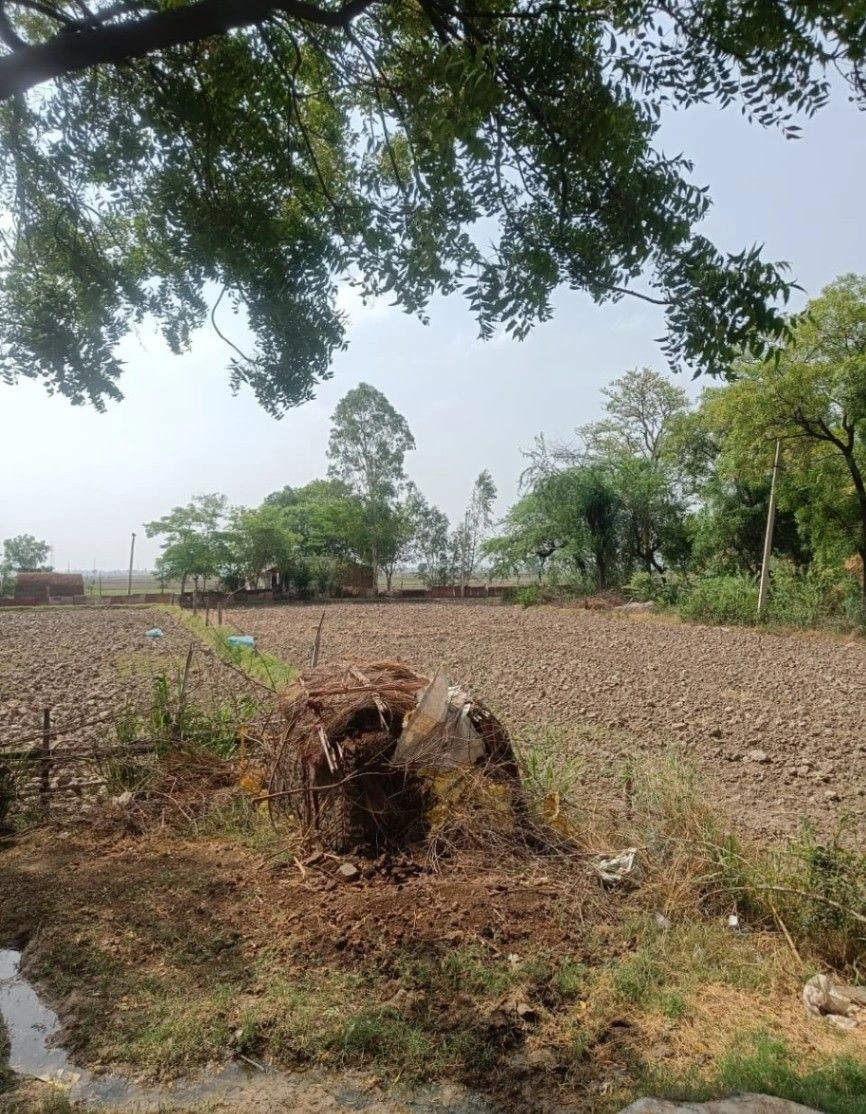 Ramgarh, Rajasthan 301026, India