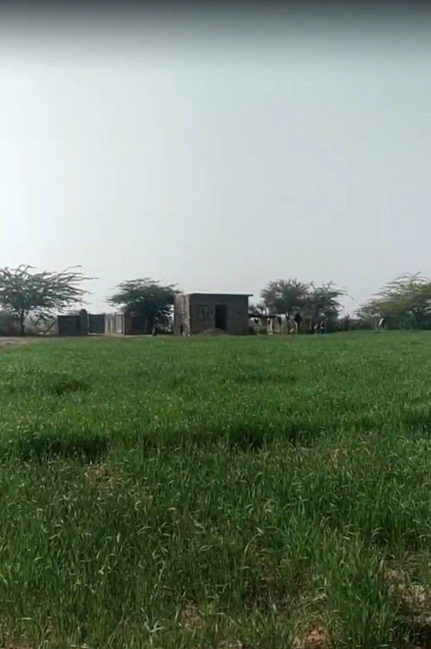 3464+CHF, Badla, Rajasthan 306126, India preview 3