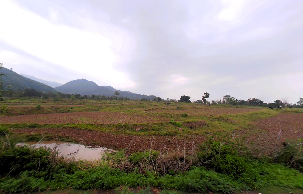 Bargodam, Kalka, Haryana 133302, India