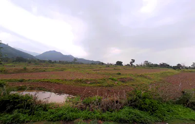 Bargodam, Kalka, Haryana 133302, India preview 3