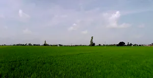 Rajpura, Punjab, India preview 3