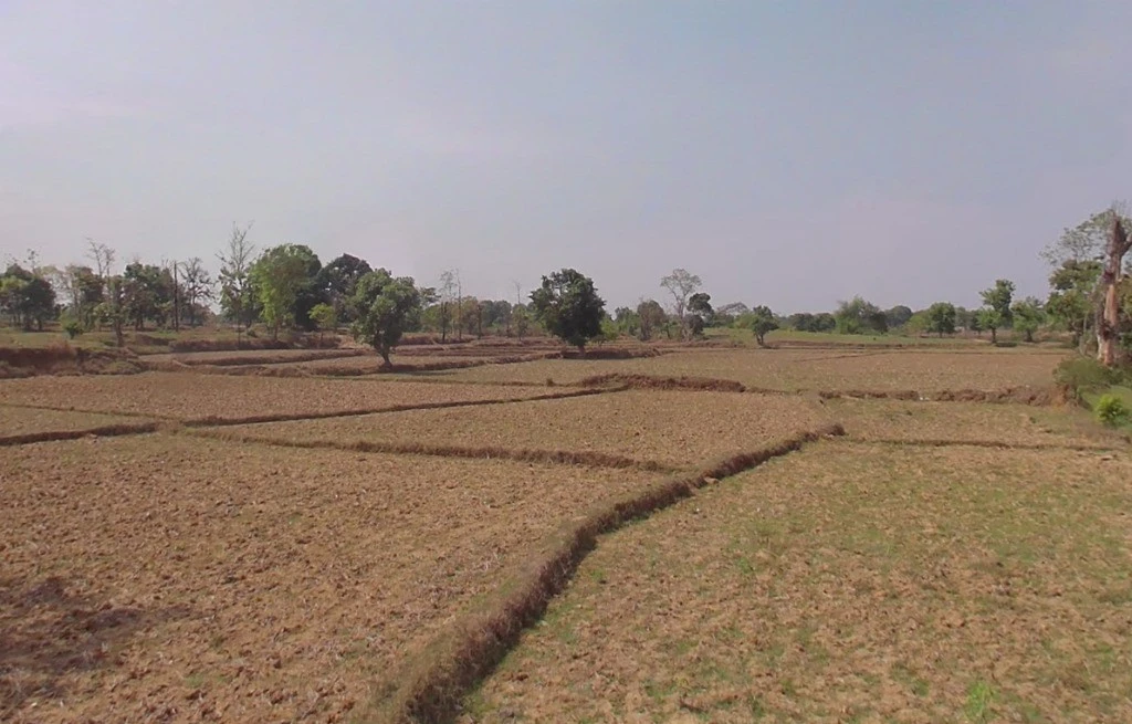 5XR8+39R, Arang, Chhattisgarh 493441, India